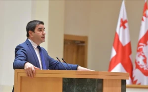 Gürcülər NATO-dan inciyiblər