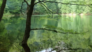 Canlı yayımda itkin düşən qızın meyitini TAPDI - VİDEO 