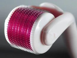 news/2025_08_11/derma_roller_1754873287.jpg