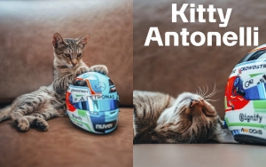 Minlərlə turistin axın etdiyi Bakıda o gündəm oldu - Video - Fotolar