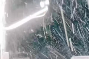 Laçına qar yağır - FOTO