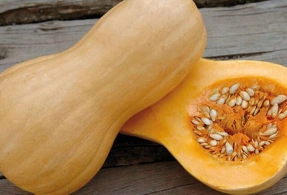 Tez-tez boranı yeməyin orqanizmə 5 faydası&nbsp;