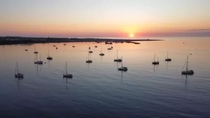 &nbsp;4 italiyalı parlamentari sərbəst buraxılıb