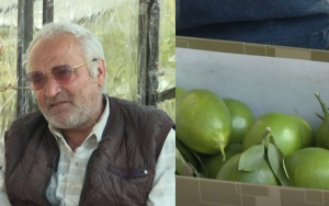 Limon satır, hesabında milyonu var - Video 