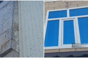 Balakən və Zaqatalada evləri kütləvi basan zərərvericilərə qarşı dezinfeksiya işlərinə başlanılıb - RƏSMİ