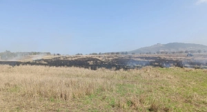 Yanğını o törədibmiş