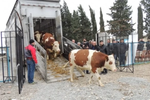 SON DƏQİQƏ! Rəsmən açıqlandı: Bu bazarlarda qadağalar tətbiq olunacaq