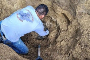 &nbsp;48 torba insan qalığı olan gizli məzarlıq aşkar edilib