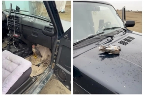 Göyərçinə görə 2 min manat cərimələndi