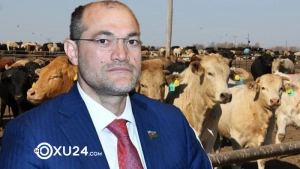 Deputatın adı mal bazarı QALMAQALINDA: Məsələ Baş Prokurorluğa qədər gedib çıxdı - AÇIQLAMA 