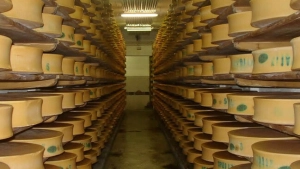 ABŞ yerin altında 600 milyon kq-dan çox pendir saxlayır: Səbəb nədir?&nbsp;