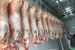 Monqolustandan gətirilən ətlə bağlı VACİB AÇIQLAMA