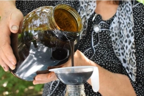 Faydasın biləndən sonra hər gün ondan yeyəcəksiniz - Məşhur HƏKİM&nbsp; AÇIQLADI