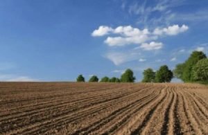 Torpağa görə&nbsp; 5 il HƏBS CƏZASI VAR İMİŞ