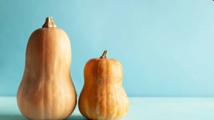 Boranının bu faydalarını biləndən sonra HƏR GÜN YEYƏCƏKSİNİZ&nbsp;