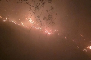 Türkiyədə meşəyə ildırım düşüb, yanğın başlayıb&nbsp;