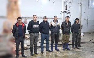 &nbsp;DİN əməliyyat keçirdi:Qəssablar tutuldular (FOTO+VİDEO)