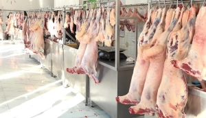 Quzu ətinin qiyməti kəskin artdı - MƏBLƏĞ&nbsp;