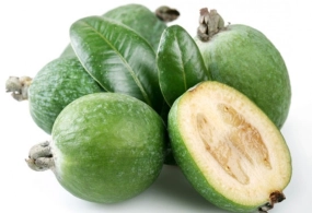 FEYXOANIN FAYDALARI VƏ ZƏRƏRLƏRİ&nbsp;