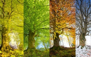 Gələn il fəsillər bu tarixlərdə əvəzlənəcək&nbsp;