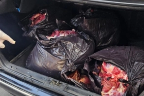 At əti satanlar tutuldu