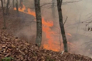 Torpaqları yandıranlar bu qədər cərimə olunacaq