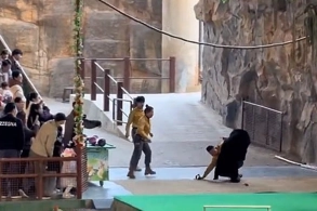 Ayı zoopark işçisinə hücum etdi&nbsp; &nbsp; —&nbsp; &nbsp; VİDEO