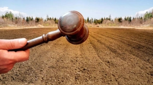 Bələdiyyə sənədi ilə torpaq alanlara VACİB XƏBƏR: Nəyə diqqət etməlisiniz?&nbsp;&nbsp;