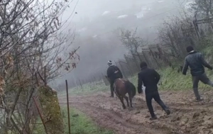 Bu kənddə uşaqlar dərsə atla gedirlər — Sinifləri bağlanıb,yolları da yoxdur   (VİDEO)