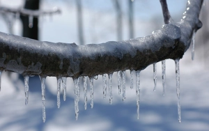 Güclü şaxta ilə bağlı əhaliyə&nbsp; XƏBƏRDARLIQ EDİLDİ
