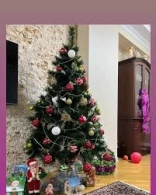 MARAQLI "Yolka"nı evin bu yerlərinə qoymusunuzsa, DƏRHAL GÖTÜRÜN