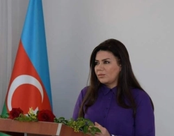 Nəsimidə icra başçısı vəzifəsi niyə birinci müavinə tapşırılmadı?&nbsp;