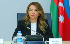 Aygün Əliyevaya yeni vəzifə verildi&nbsp;