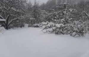 Naxçıvanda qar örtüyünün hündürlüyü 37 sm-ə çatıb&nbsp;