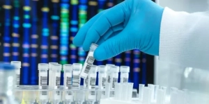 Qərar verildi – Bu xidmət PULSUZ OLACAQ