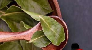 Yanvar ayının bu tarixlərində dəfnə yarpağı yandırın: Görün HƏYATINIZ NECƏ DƏYİŞƏCƏK&nbsp;