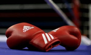 Bakıda boks məşqçiləri üçün seminar başlayıb.&nbsp;&nbsp;