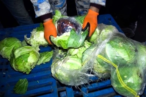 Kələmin içində narkotik AŞKARLANDI