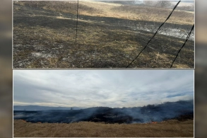 Xocalıda yanğına səbəb olan şəxs saxlanıldı