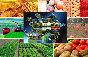 Regionların sosial-iqtisadi inkişafı GÜNDƏMDƏ  – Millət vəkillərindən ÇIXIŞ YOLLARI  