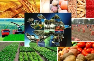 Regionların sosial-iqtisadi inkişafı üçün hansı tədbirlər görülməlidir? – Millət vəkillərindən ÇIXIŞ YOLLARI&nbsp;&nbsp;