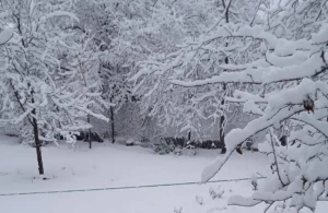 Milli Hidrometeorologiya Xidməti xəbərdarlıq edir:&nbsp; Yanvarın 28-i axşamdan 29-u gündüzədək...