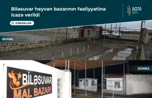 Biləsuvardakı heyvan bazarının fəaliyyətinə icazə verilib&nbsp;