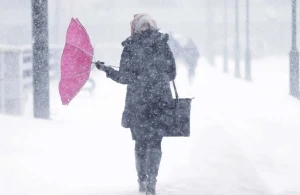 Çovğun müşahidə edilir