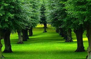 Marta qədər kim çatdırıb edə bilsə, bəxti gətirdi — Bəhrəsini yayda görəcək 