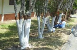 Marta qədər kim çatdırıb edə bilsə, bəxti gətirdi — Bəhrəsini yayda görəcək 