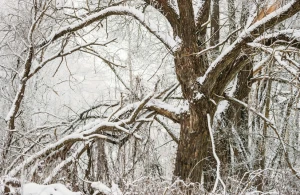 Azərbaycana güclü qar yağır