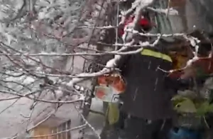 60 yaşlı qadının üzərinə ağac aşdı - Video 