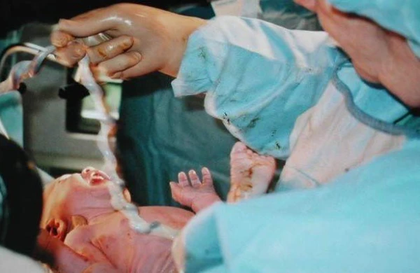 Ana ölümünə görə direktor həbs edildi