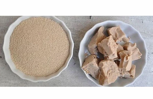 Bu çörək ziyandır - MÜTƏXƏSSİS XƏBƏRDARLIQ EDİR